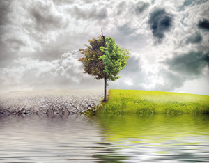 2012 Weather Extremes Fact Sheet: Year-to-Date Review